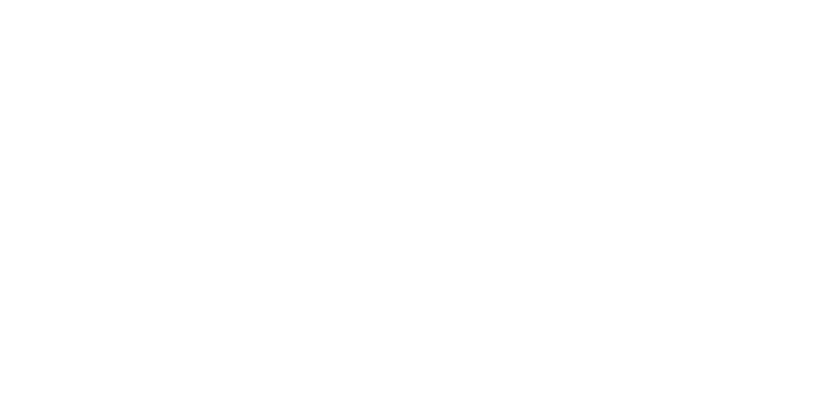Berco spa