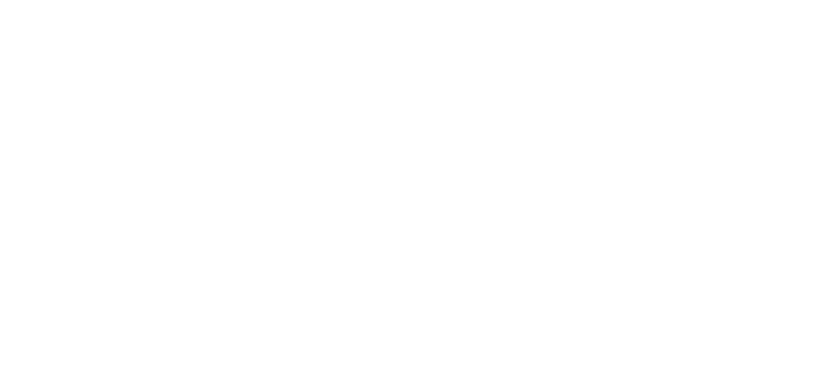Enel Distribuzione Ferrara